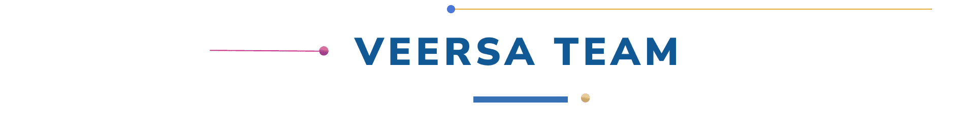 Veersa Team